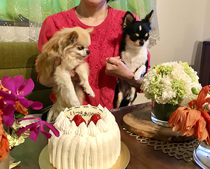 ２匹の愛犬を抱きかかえる坂井千夏